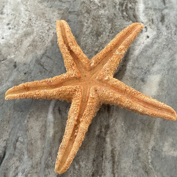 Large 11" Starfish Tealight Holders - Picture 2 of 7